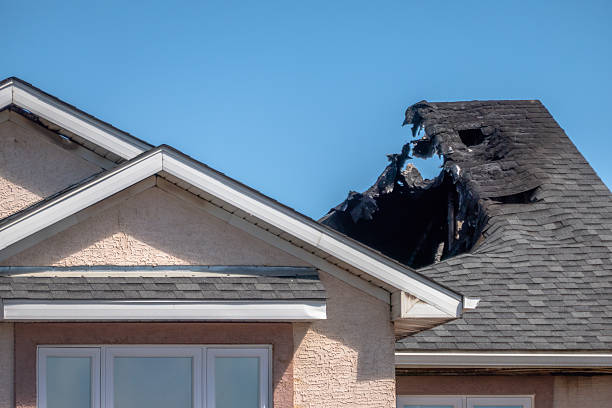Top rated local Fire Damage Removal specialists in Princeton, FL